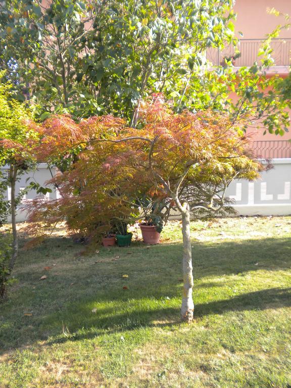 Civico 493 B'N'B Bed & Breakfast Preganziol Luaran gambar